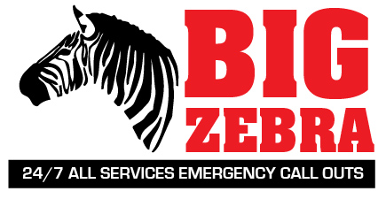 Big Zebra Ltd